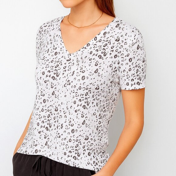 Rails Cara V-Neck Tee in White Mocha Leopard | Size M - Picture 1 of 7